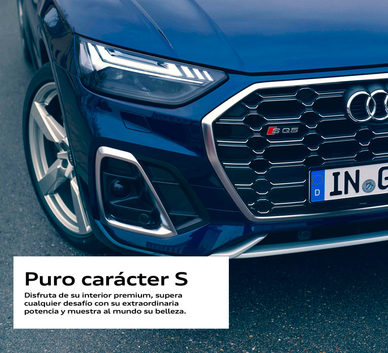 Audi-SQ5-puro-caracter-S